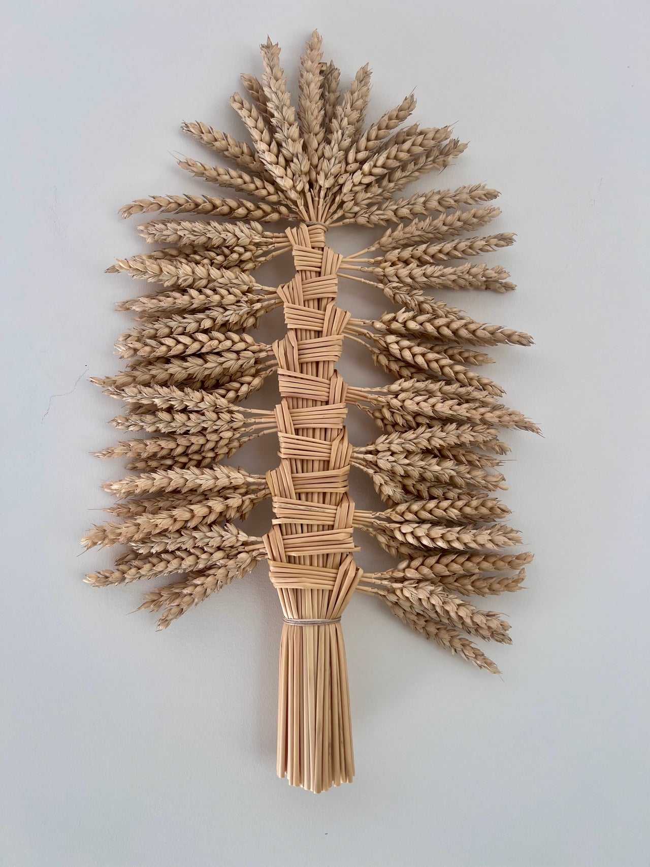 Harvest trophy also known as a bouquet de moisson made from heritage wheat forming a large wall piece