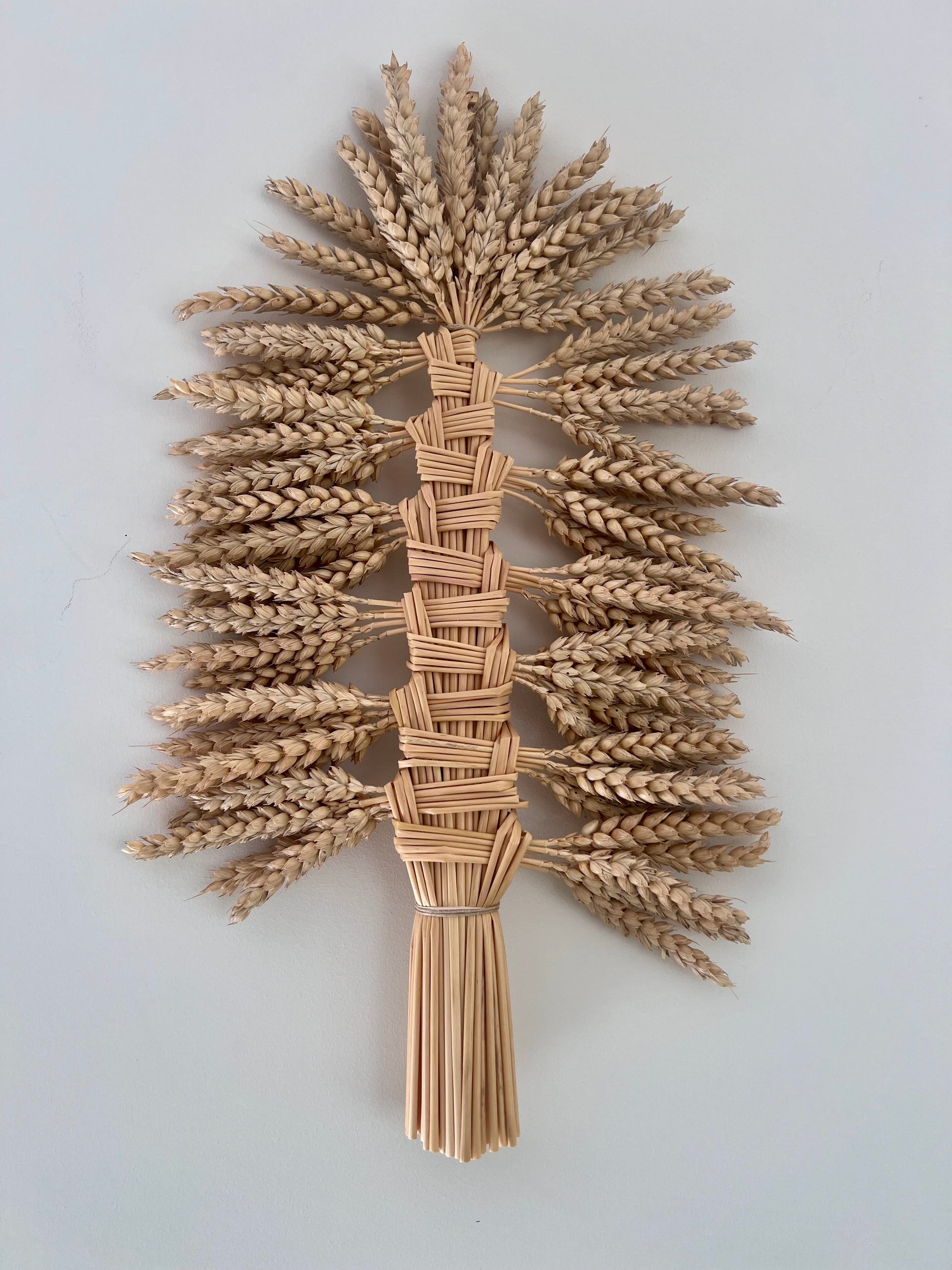 Harvest trophy also known as a bouquet de moisson made from heritage wheat forming a large wall piece